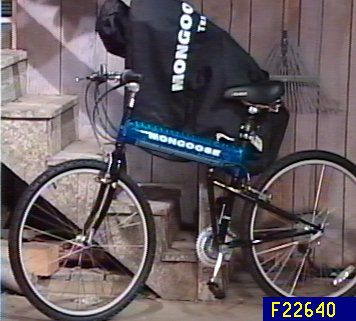 mongoose cargo bike