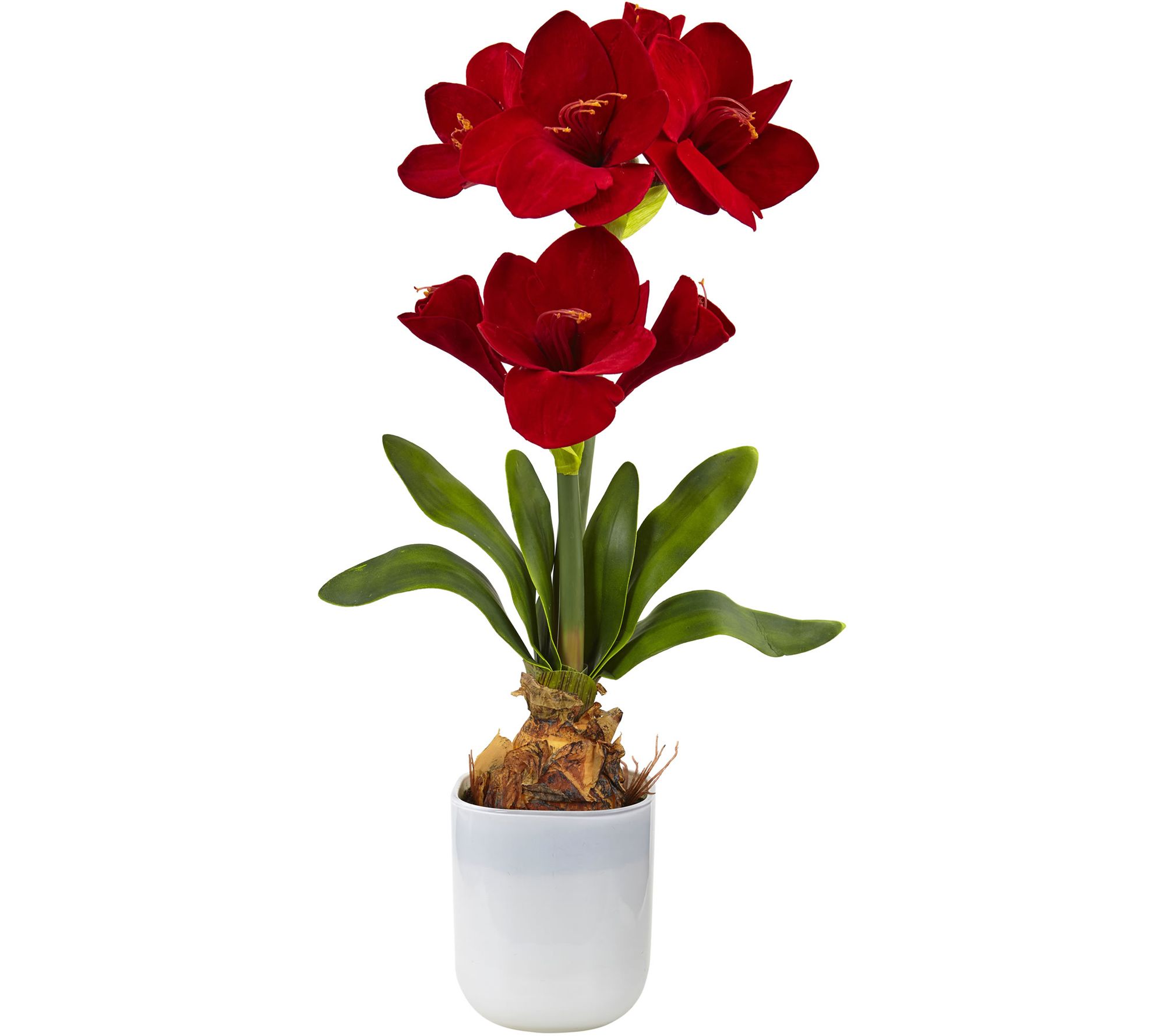 Silk Amaryllis Floral Arrangement by Nearly Natural —
