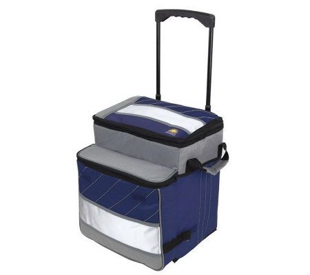 california innovations cooler bag qvc