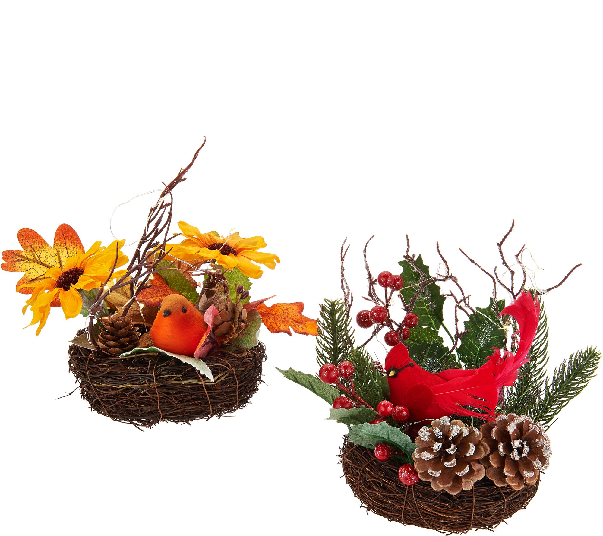 Set of 2 Illuminated Nests w/ Birds & Flowers by Valerie —
