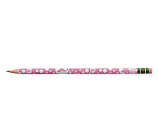 UPC 072067139603 product image for Pink Wood Case Pencil, HB #2, Set of 12 | upcitemdb.com