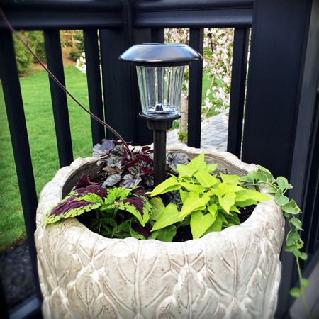 Light in a flower pot