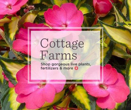 Cottage Farms — Seeds, Plants & Gardening Supplies — QVC.com
