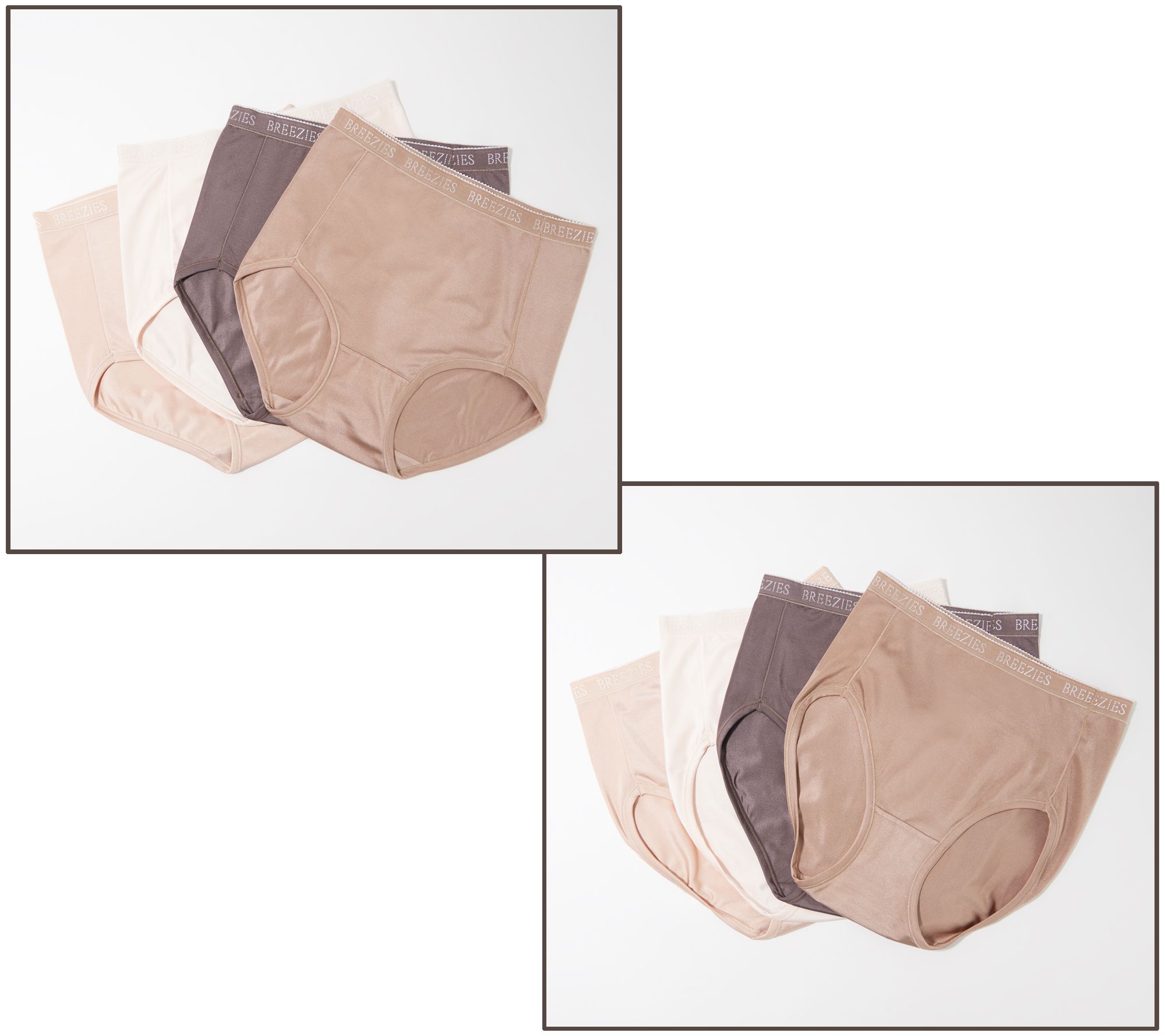 Breezies Set of 4 Nylon Microfiber Panties