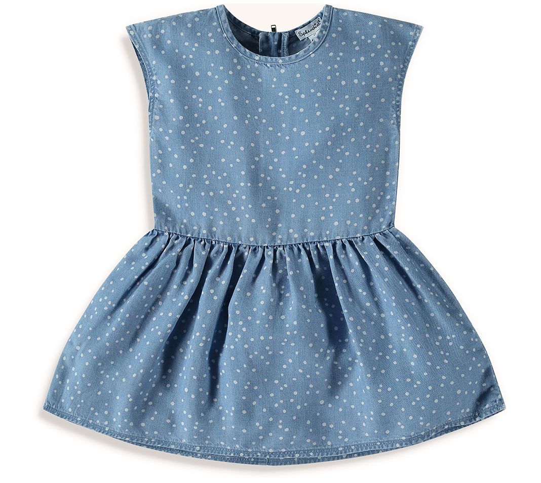 one star chambray dots