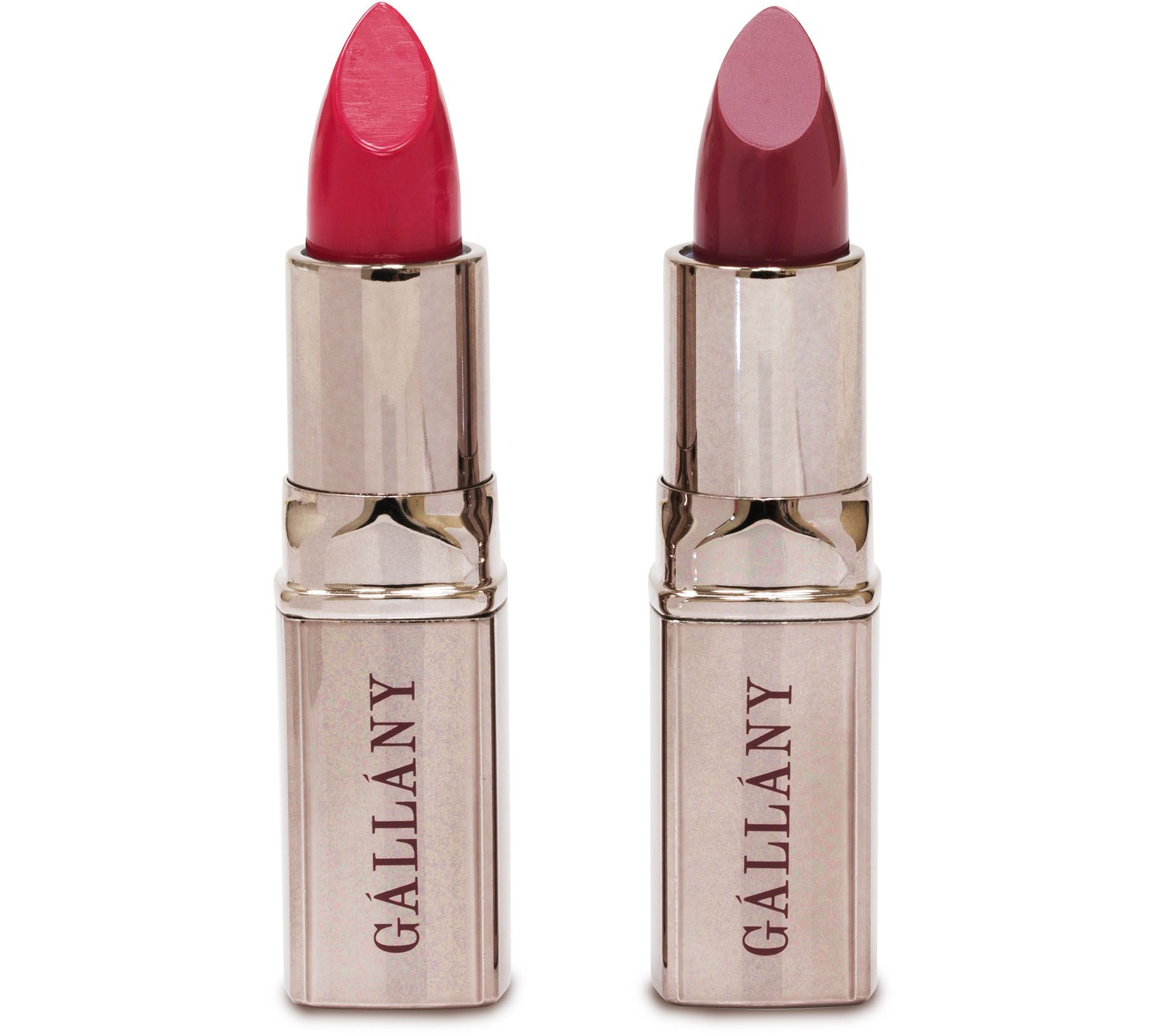 Gallany 2Piece Lipstick Kit