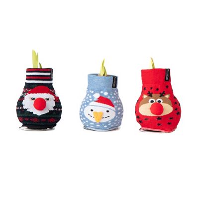 PFLANZENFREUND Amaryllis Crazy Christmas Sweater-Mix 3 Stück