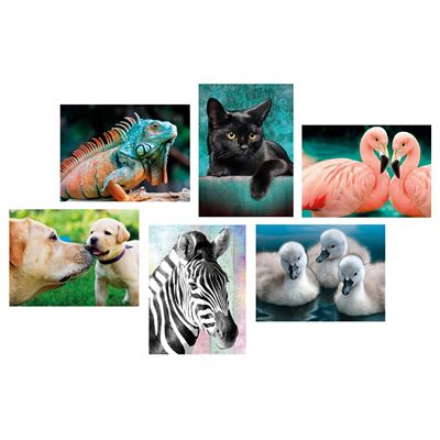 KARIN JITTENMEIER Diamond Painting-Set Bilder versch. Größen Motive 30tlg.