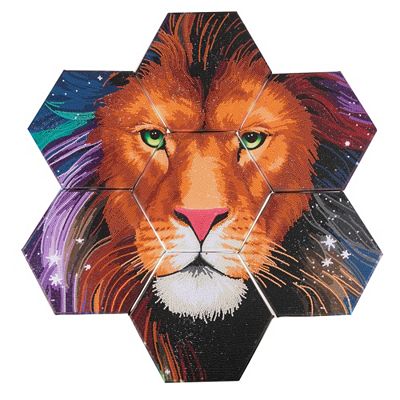 CRAFT BUDDY™ Diamond Painting Bild ca. 62,5x65cm aus 6-eck Keilrahmen 11tlg.