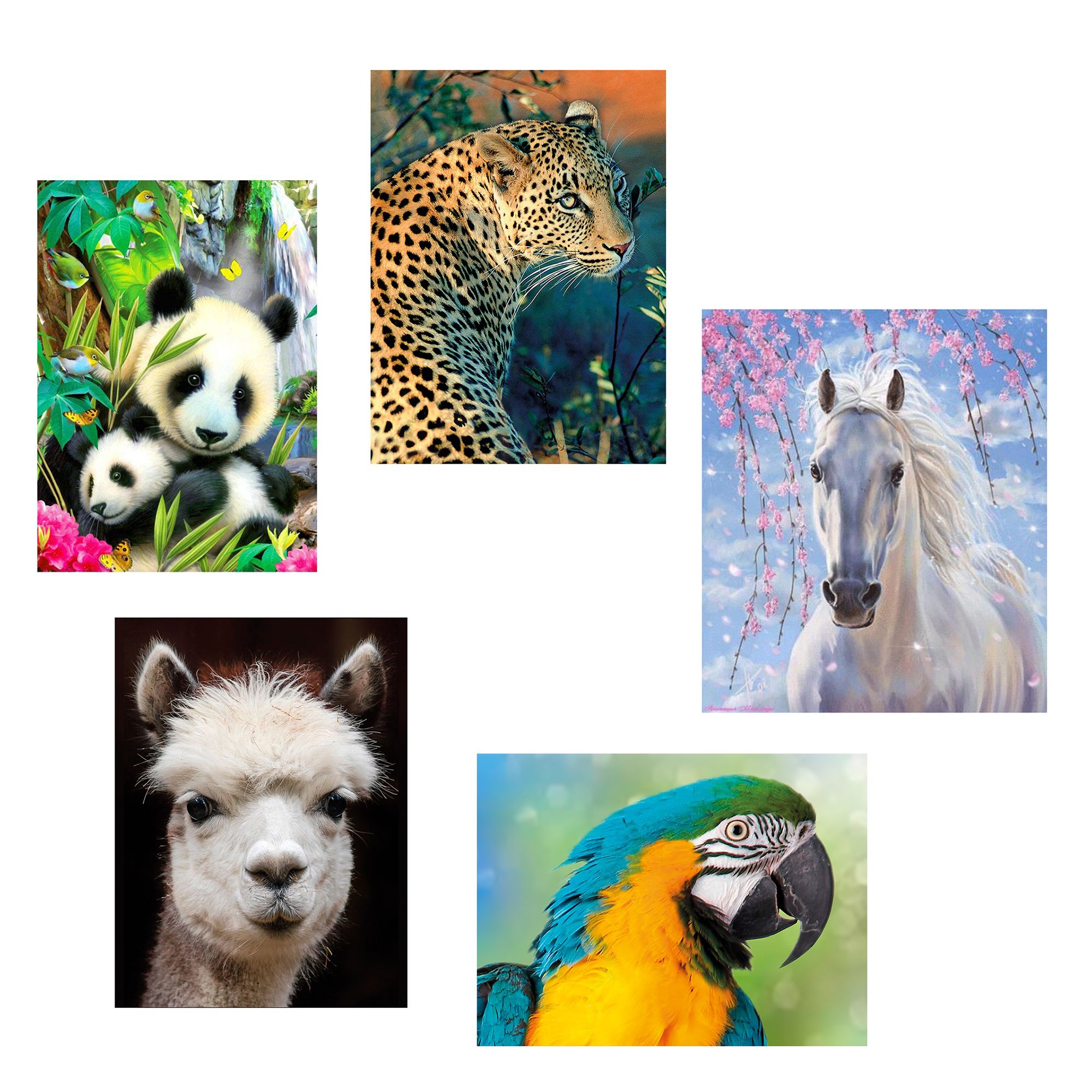 KARIN JITTENMEIER Diamond Painting-Set Bilder mit versch. Tieren ca. 25x35cm, 25tlg.