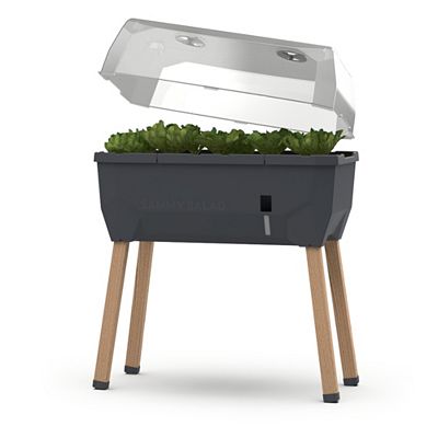 GUSTA GARDEN Hochbeet Sammy Salad inkl. Wassertank 15 Liter