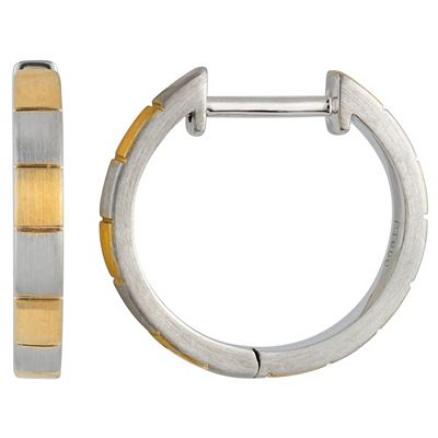 PLATINITY Creolen mattiert mind. 3,5g Platin 950