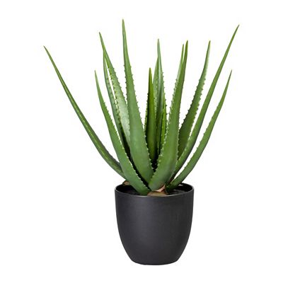 CREATIV green Kunstpflanze Aloe Vera Kunststofftopf Größenauswahl