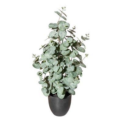 CREATIV green Kunstpflanze Eukalyptus Kunststofftopf Höhe 60cm