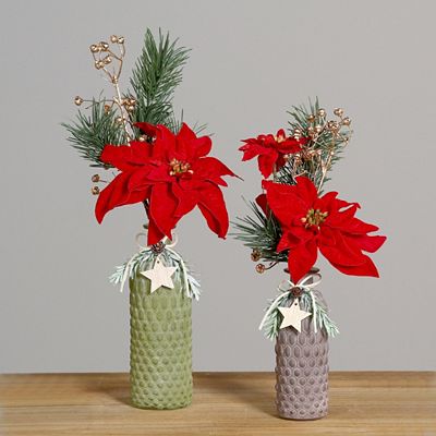 PUR FLEUR 2 Premium Sträuße Poinsettia & Kiefer Glasvasen farbig Höhe 40cm & 45cm