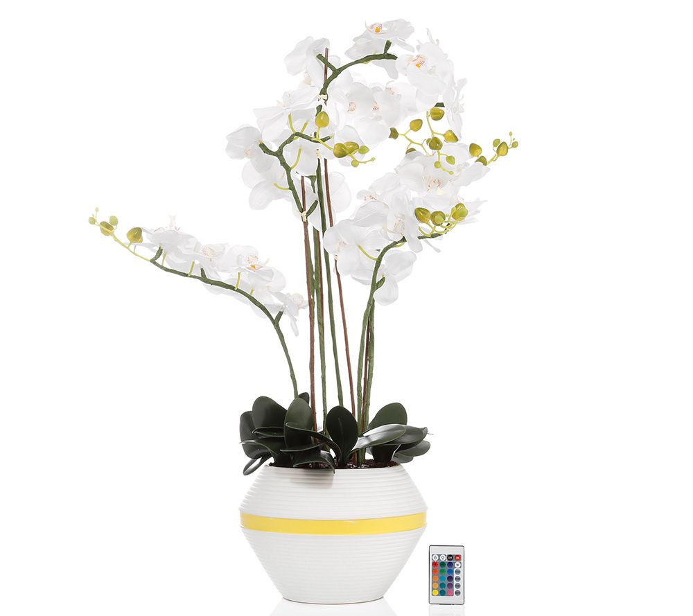 LUMIDA Flora leuchtende Blumen XL-Orchidee inkl ...