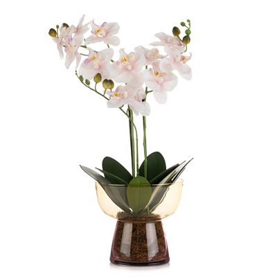 ABELLA Flora künstliche Orchidee Glasvase Glas gefärbt Höhe 60cm