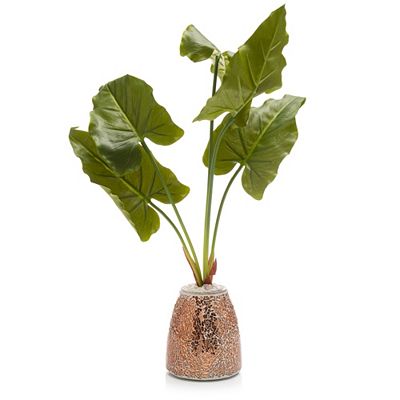 LUMIDA Flora künstl. Korbmarante Glastopf 5h-Timerfunktion Höhe 63cm