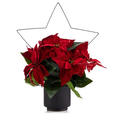 Thumbnail - LUMIDA Flora künstl. Poinsettia Weihnachtsstern inkl. Metall-Deko 5h-Timerfunktion