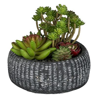 CREATIV green Kunstpflanze Sukkulenten- Arrangement Zementschale