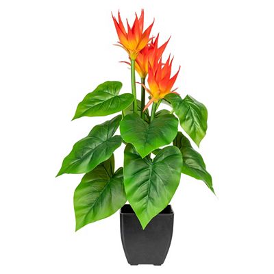 CREATIV green Kunstpflanze Guzmania Kunststofftopf Höhe 58cm