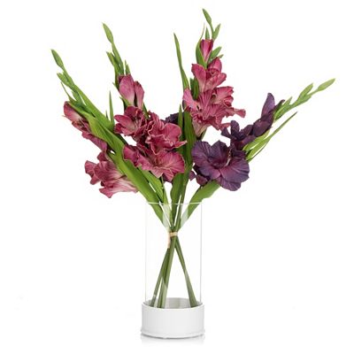 B-Ware LUMIDA Flora künstliche Gladiolen Glasvase inkl. LED-Beleuchtung