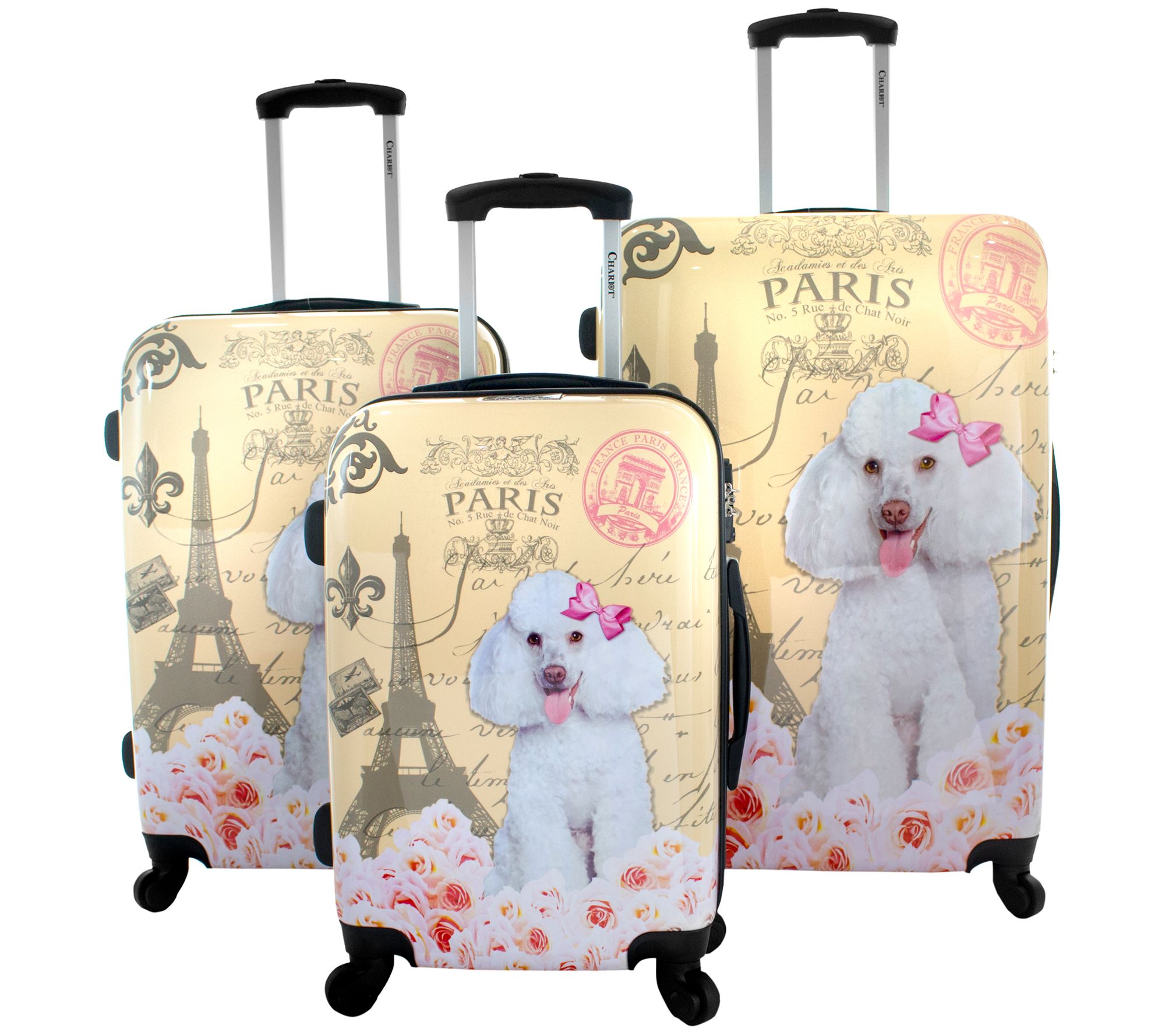 UPC 799705029798 product image for Chariot Travelware Paris 3-Piece Luggage Set | upcitemdb.com