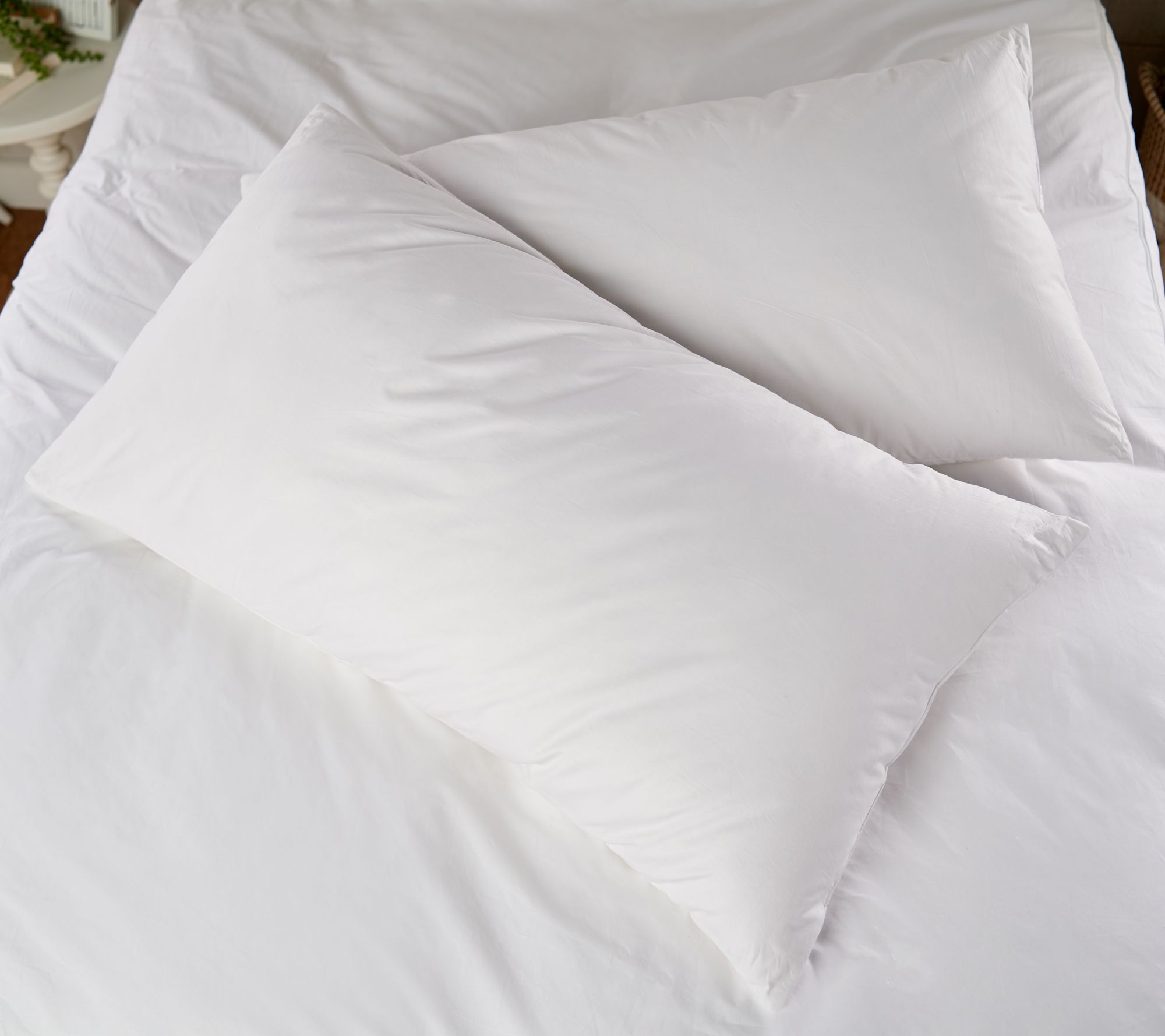 Northern Nights Set Of 2 King Feather Pillows Qvc Com