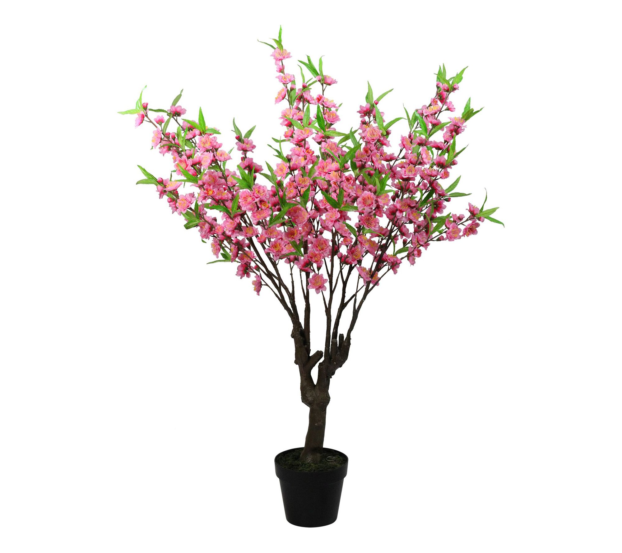 Northlight 43.5" Potted Pink & Green Floral Pea h Blossom Tree