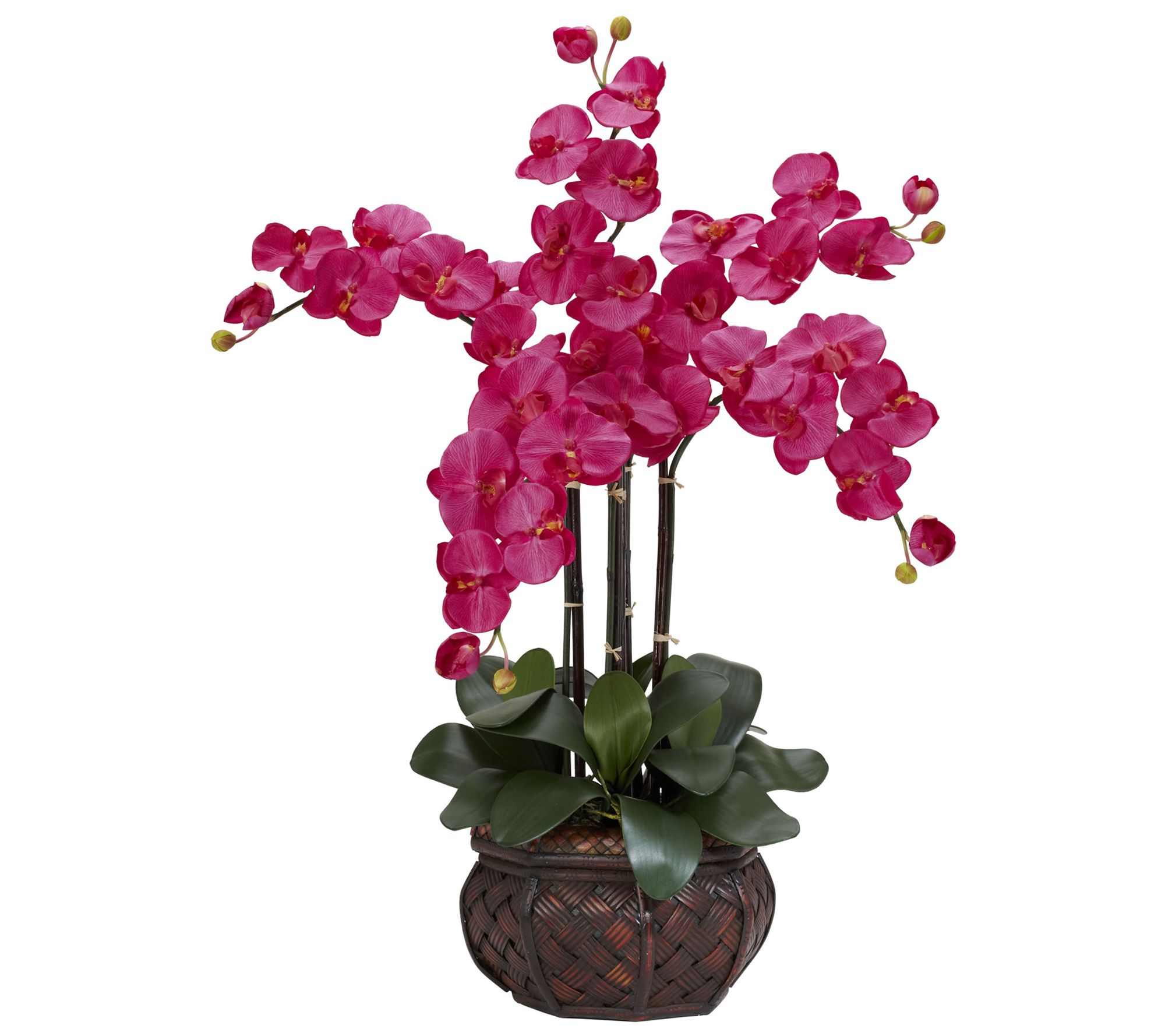 Phalaenopsis Vase Silk Flower Arrangement by Ne arly Natural