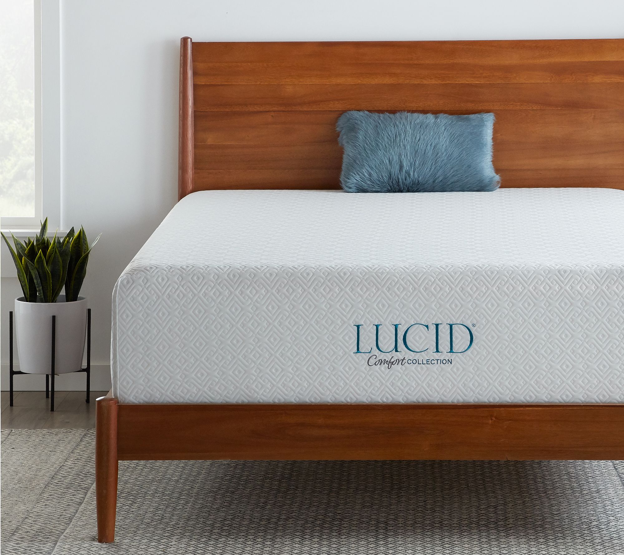 UPC 810025019488 product image for LUCID Comfort Collection 14