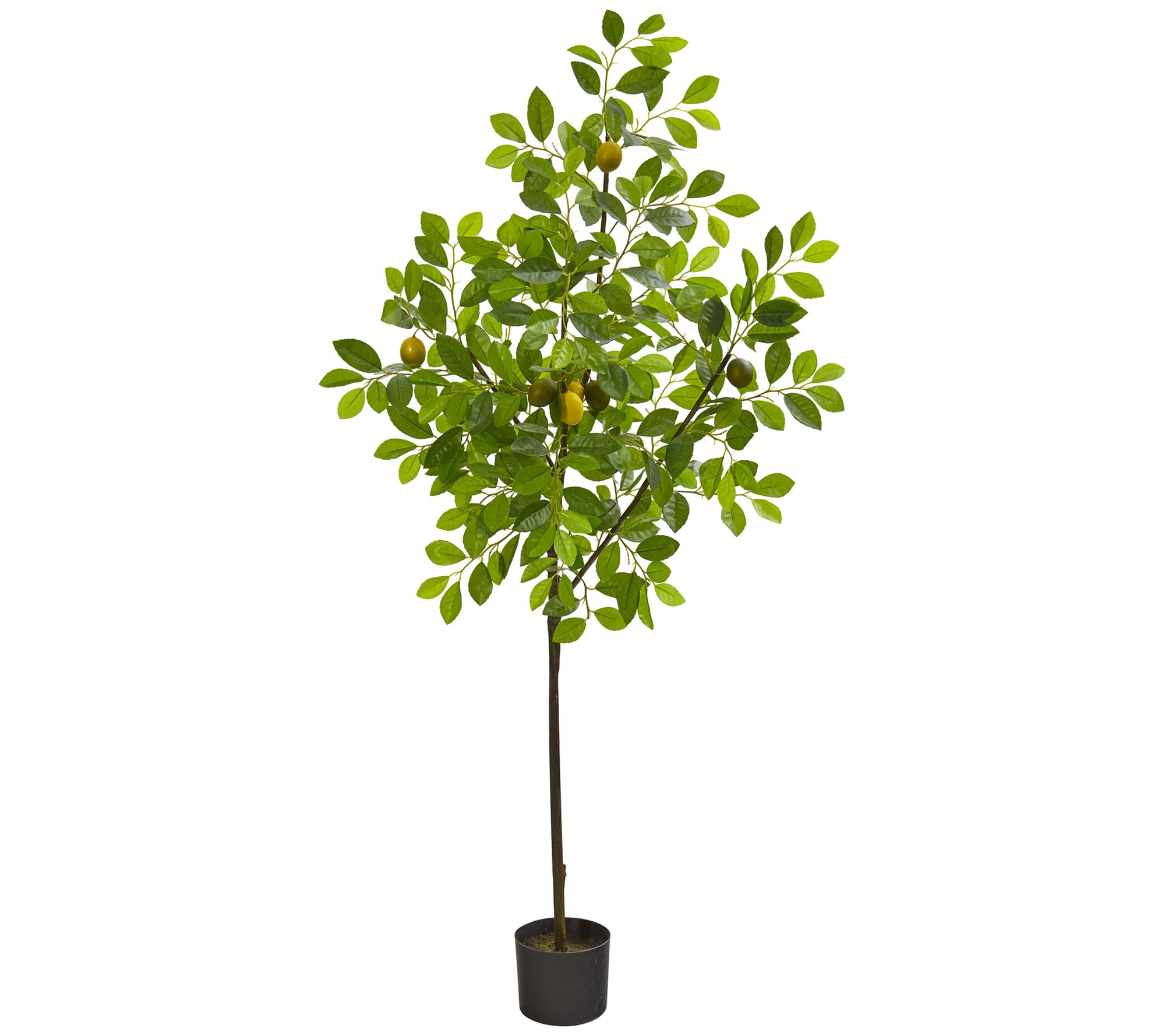 61" Lemon Artificial Tree By Nearly Natural