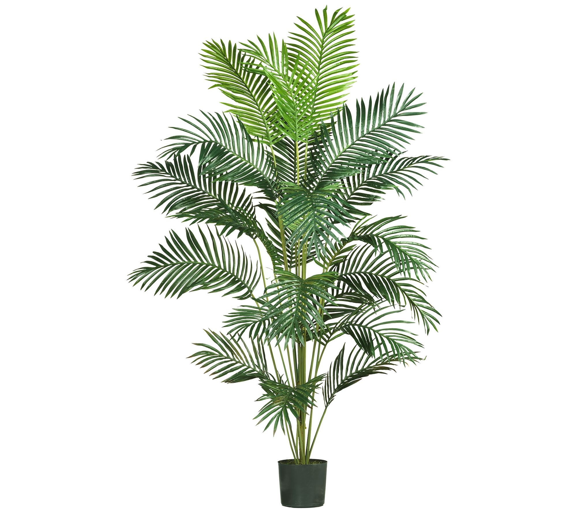 7' Paradise Palm Silk Tree by Nearly Natural