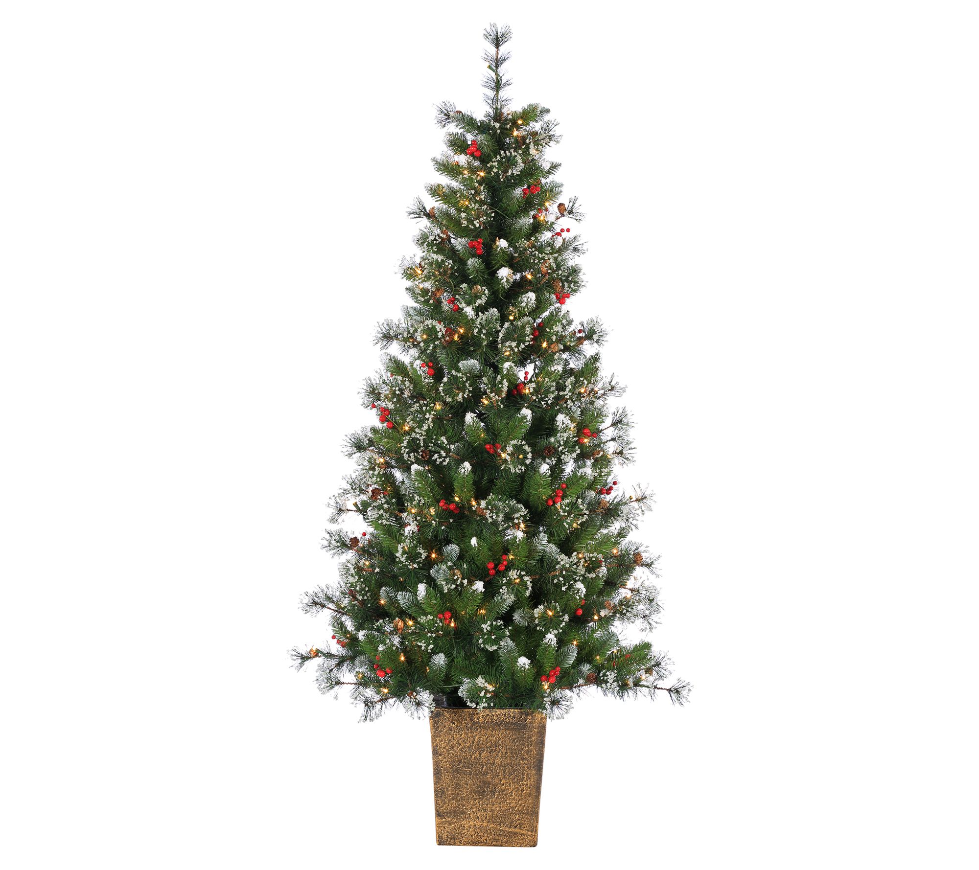 6'H Potted Hard/Mixed Needle Glazier Pine by St rling Co