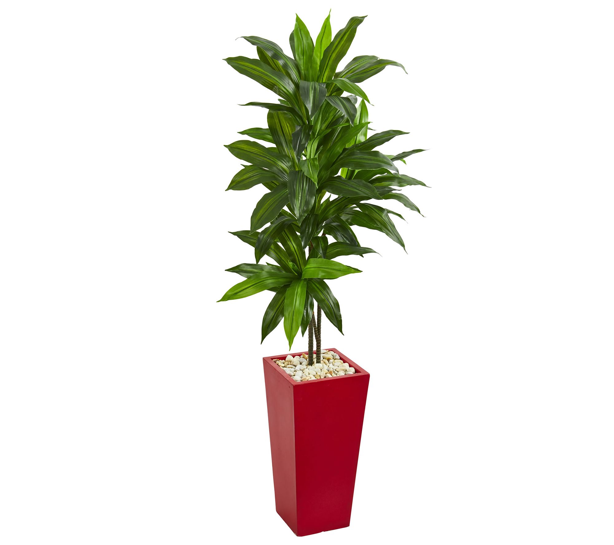 5� Dracaena Artificial Plant in Planter by Nearly Natural