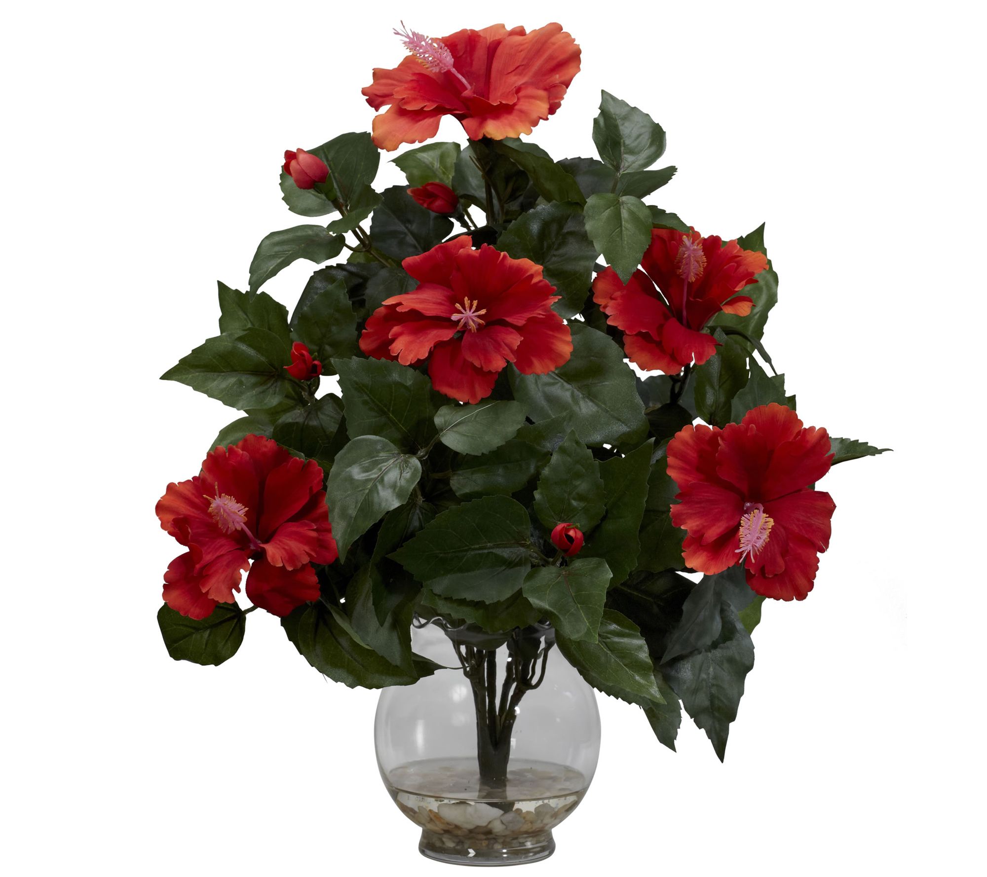 Hibiscus Arrangement in Glass Vase by Nearly Na tural