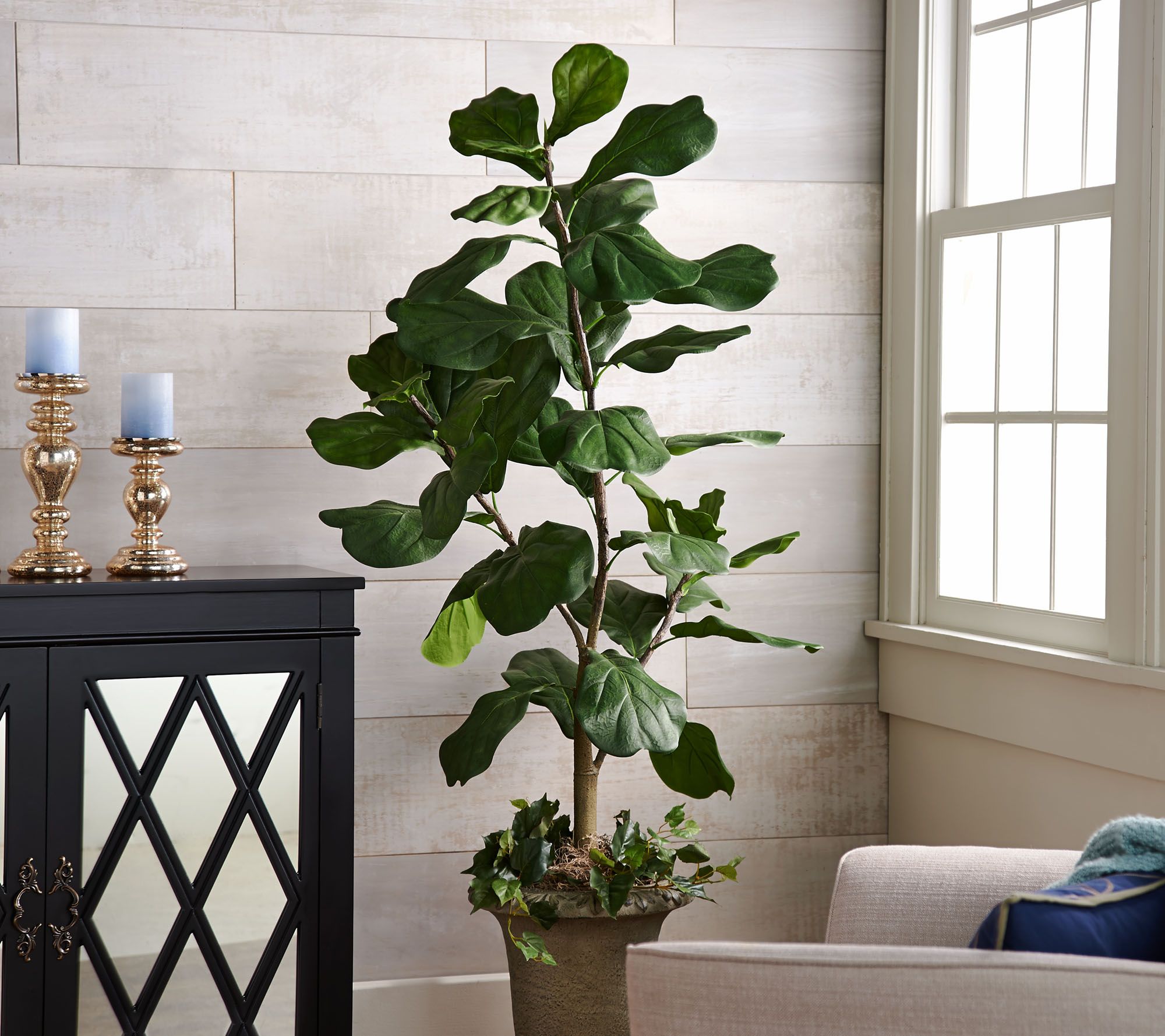 Image result for qvc valerie fiddle fig