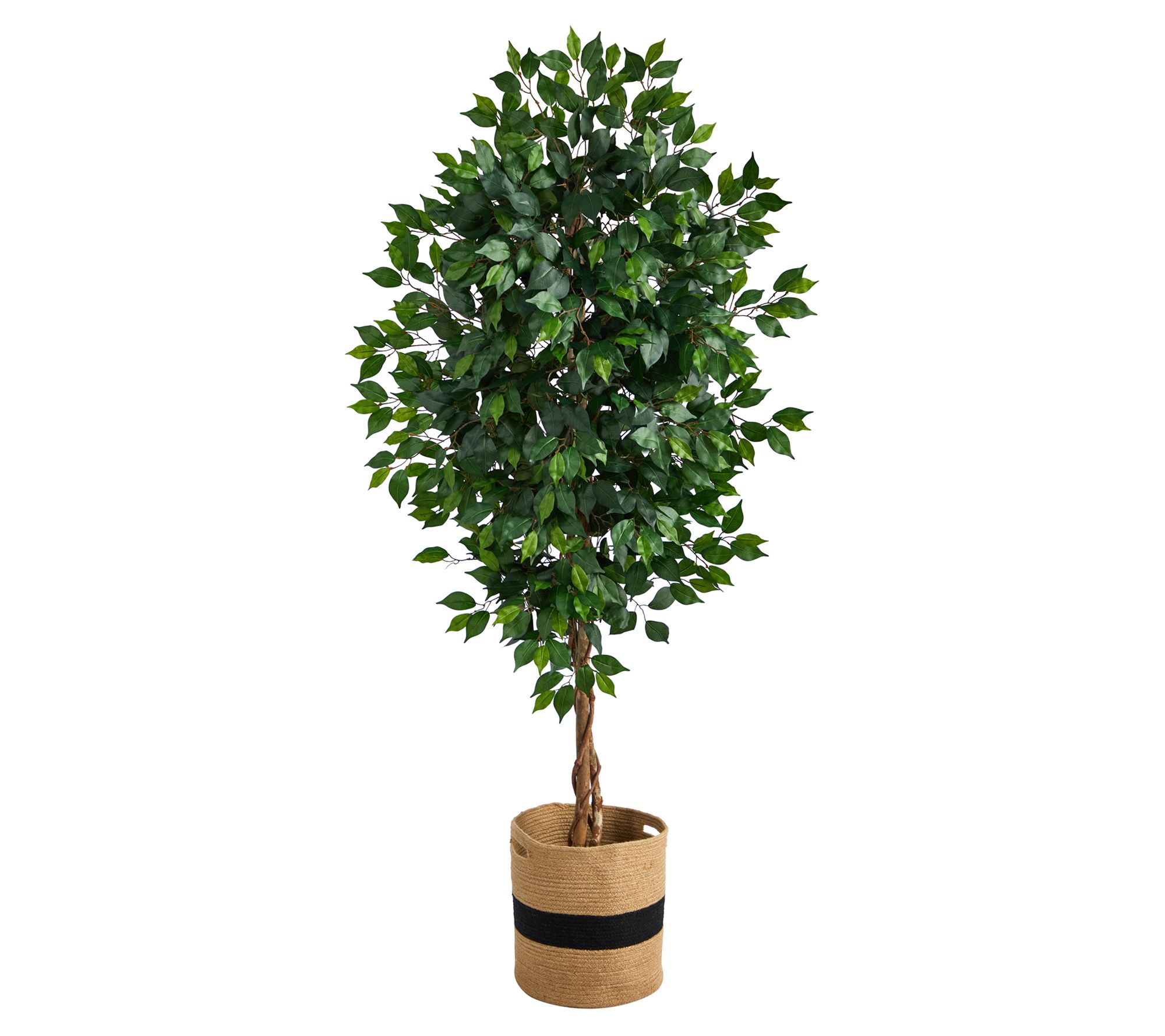 Nearly Natural 6' Ficus w/ Natural Trunk in Pla ter