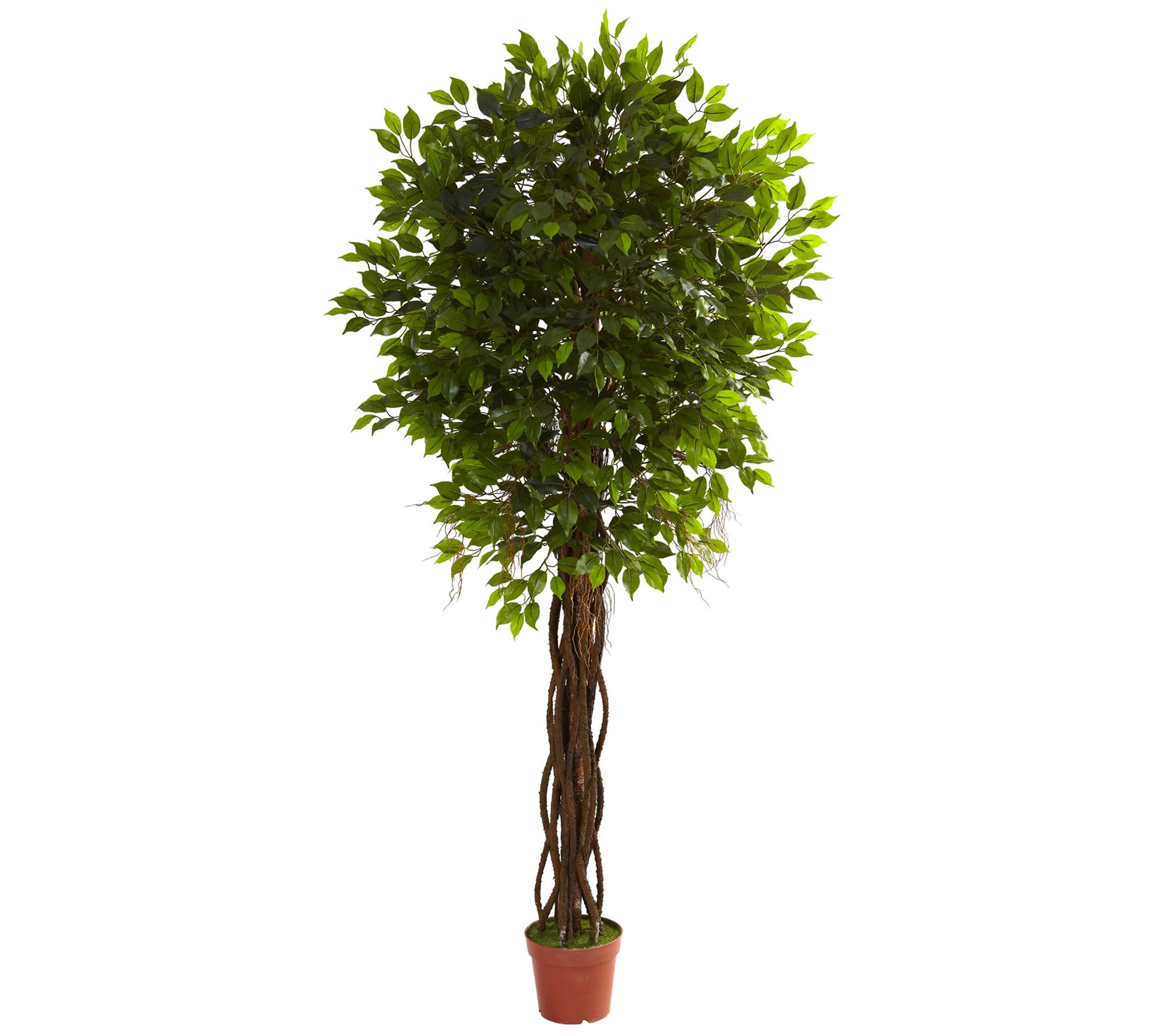 7.5' Ficus Tree - Nearly Natural
