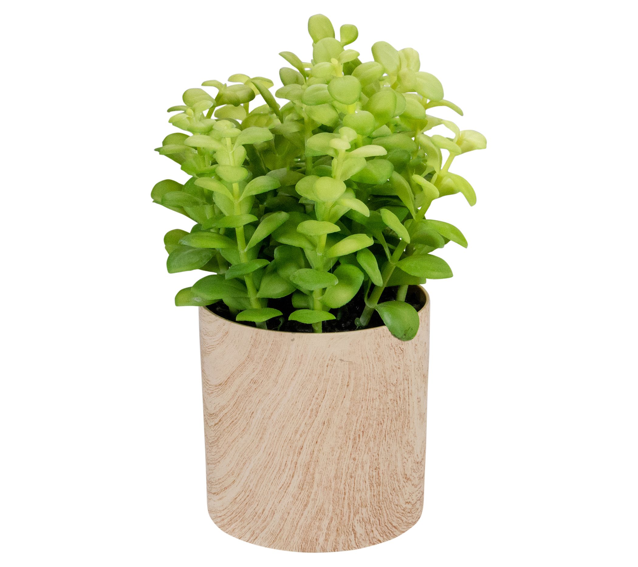 Northlight 10" Artificial Privet Plant in Faux ood Pot