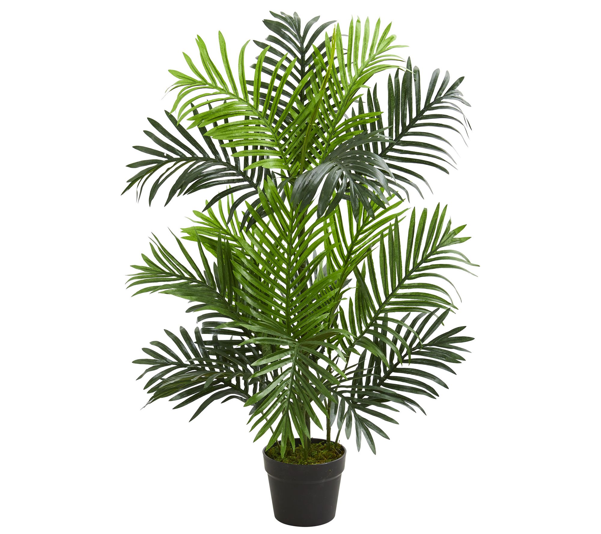 3' Paradise Palm Artificial Tree by Nearly Natural - QVC.com