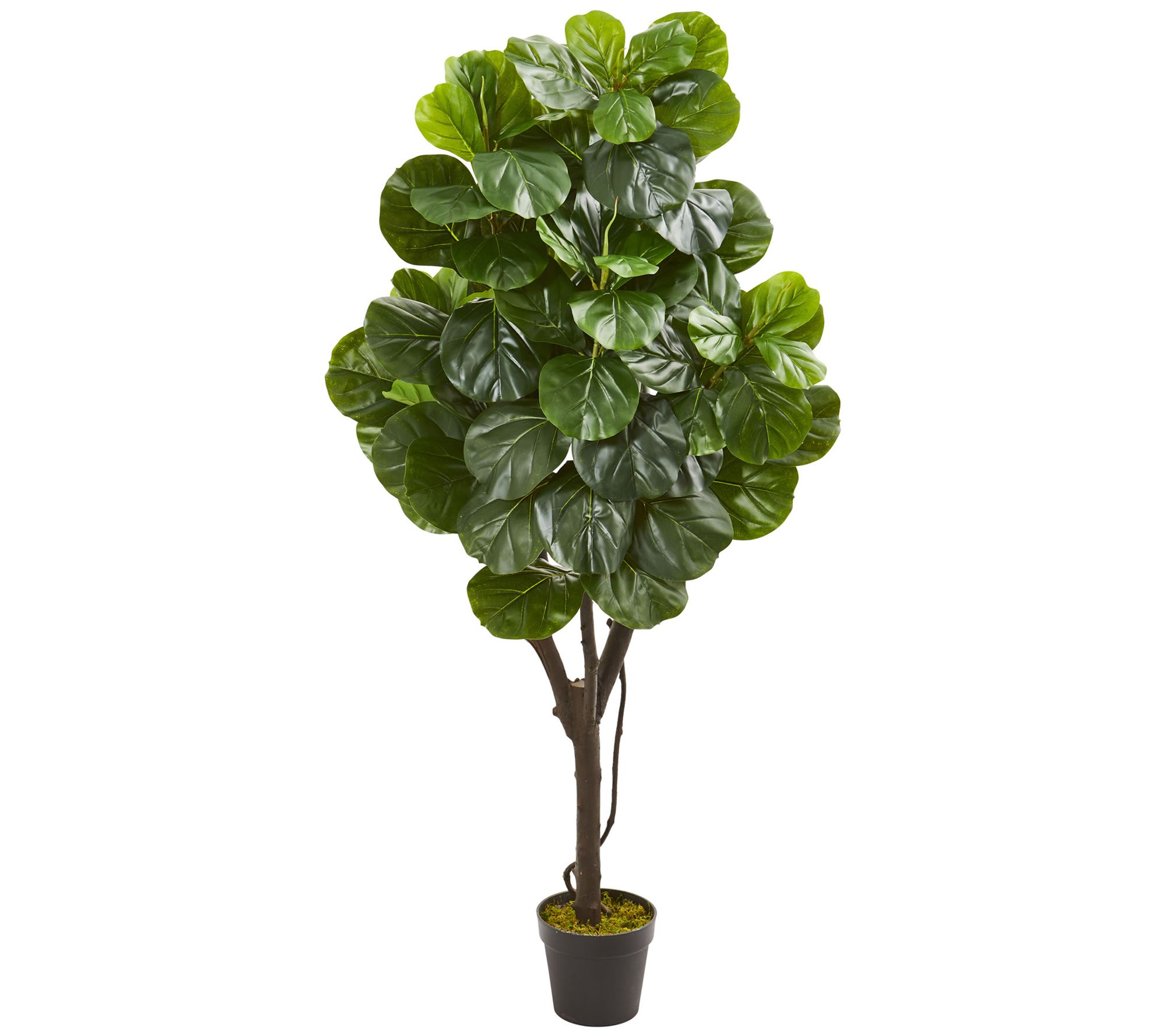 5' Fiddle Leaf Fig Artificial Tree by Nearly Na tural