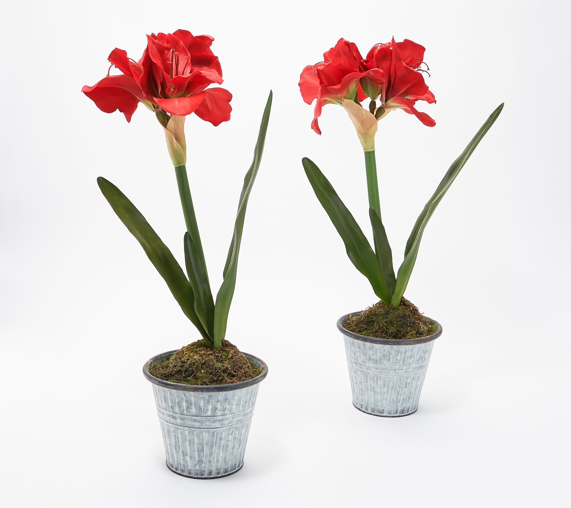 Set of (2) 22" Faux Amaryllis Potted Plants by Valerie Page 1 —