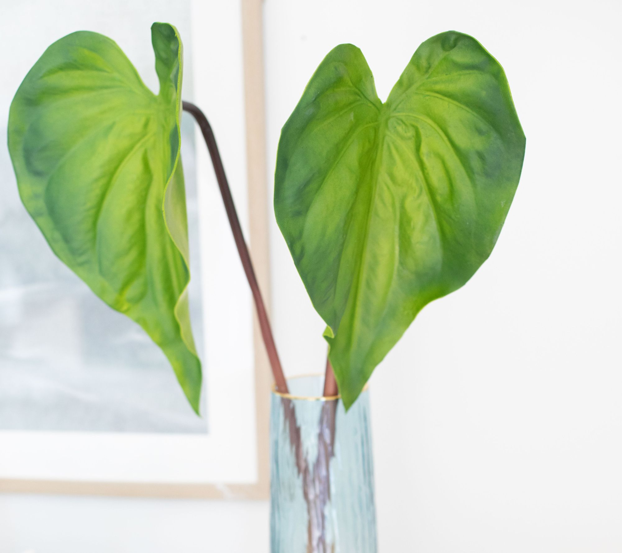 Set of(2)26" Faux Elephant Leaf Picks by Lauren McBride
