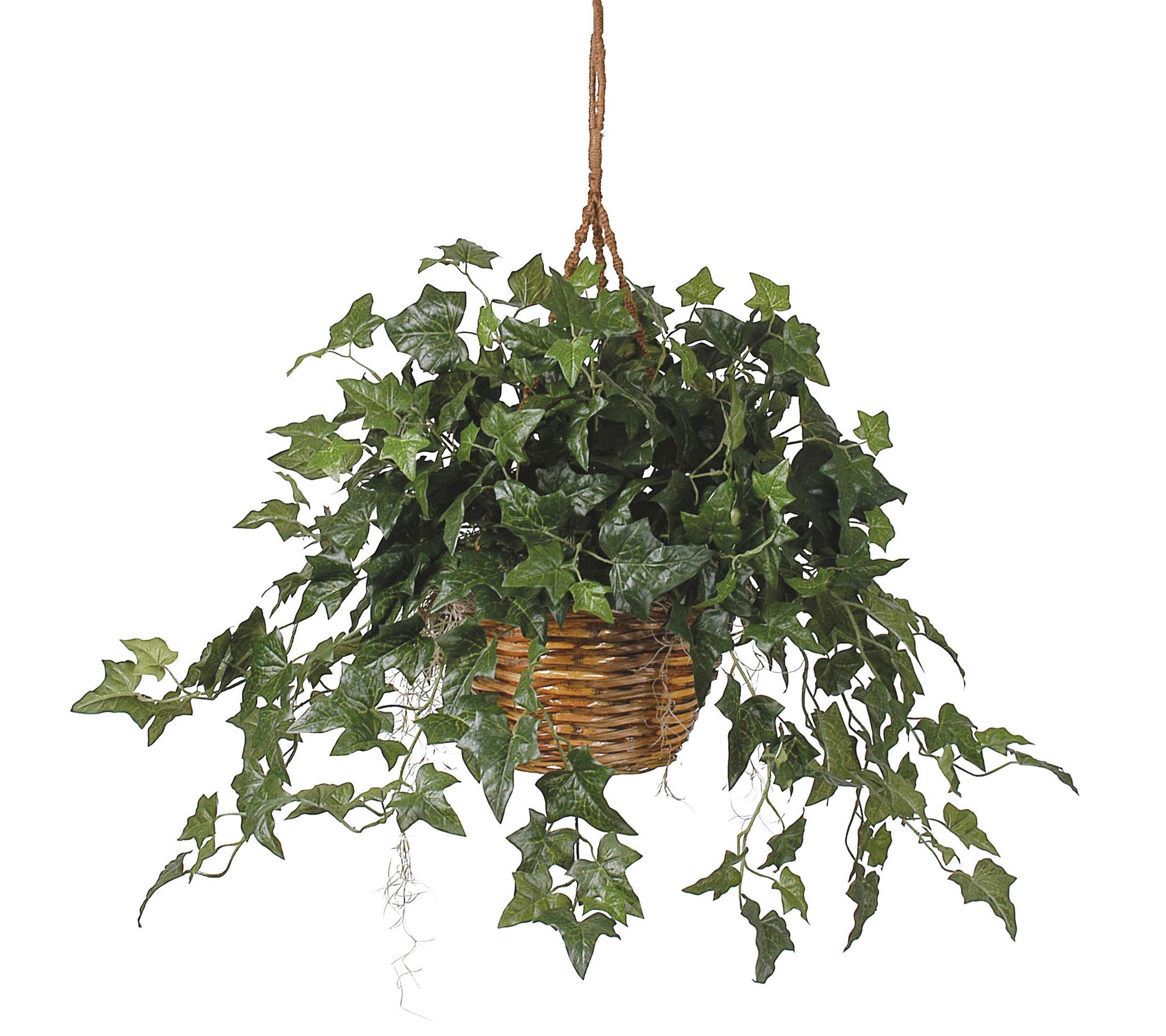 English Ivy Hanging Basket Silk Plant by Nearly Natural