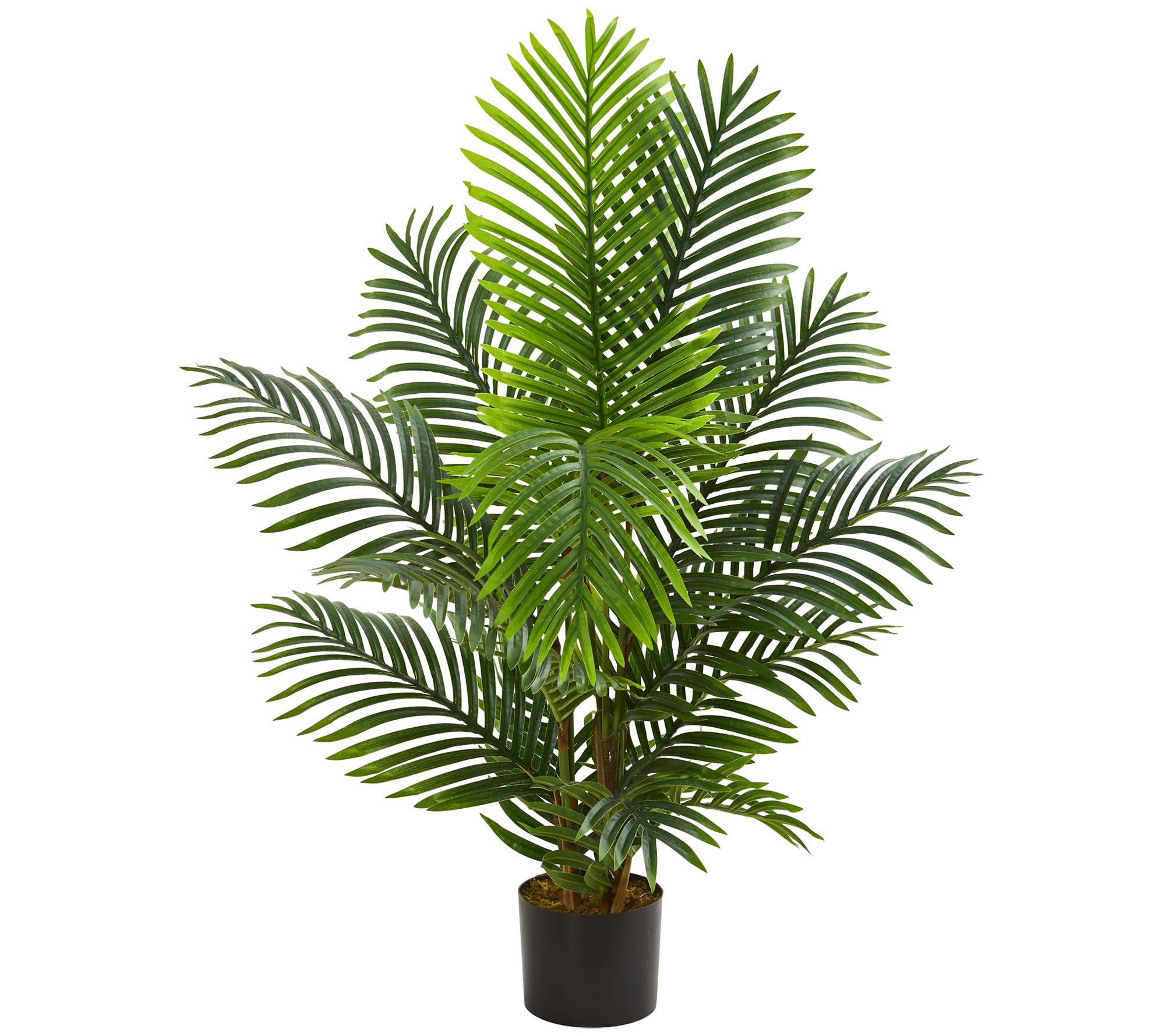 4' Paradise Palm Artificial Tree by Nearly Natu ral