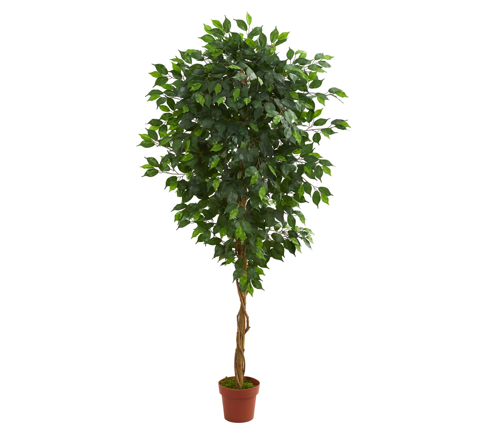Nearly Natural 6' Ficus Artificial Tree