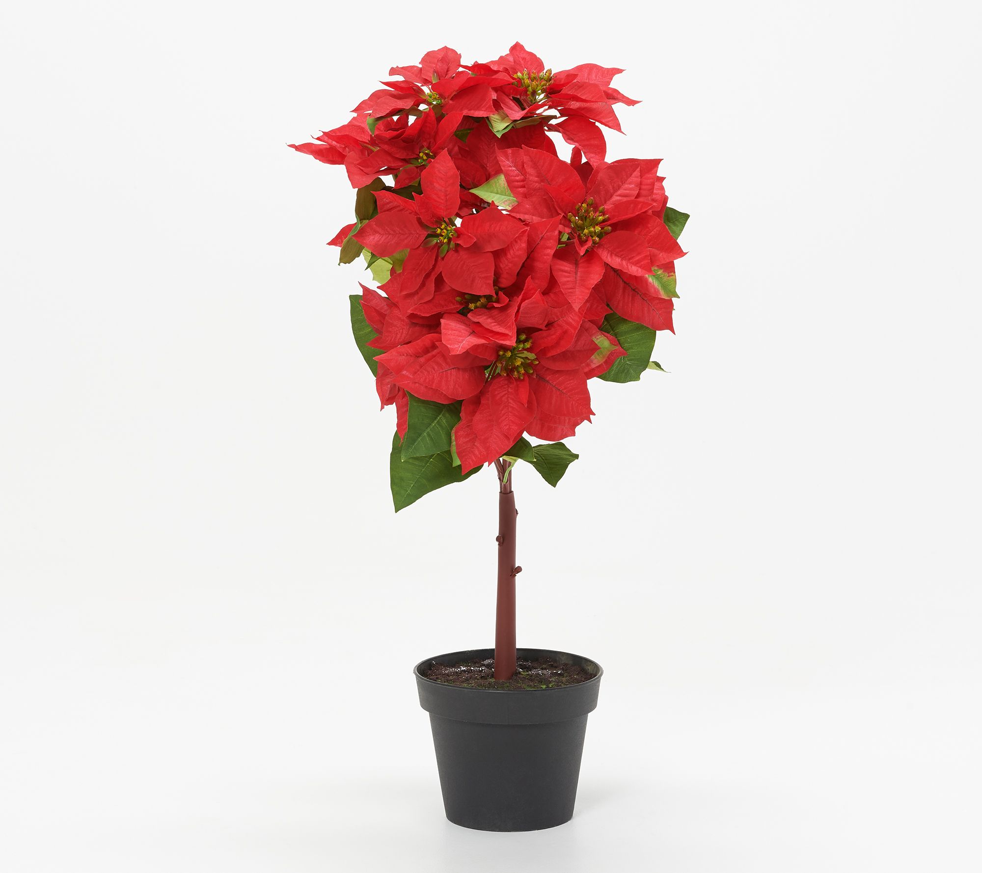 33" Faux Poinsettia Tree Plant in Potted Base by Valerie Page 1 —