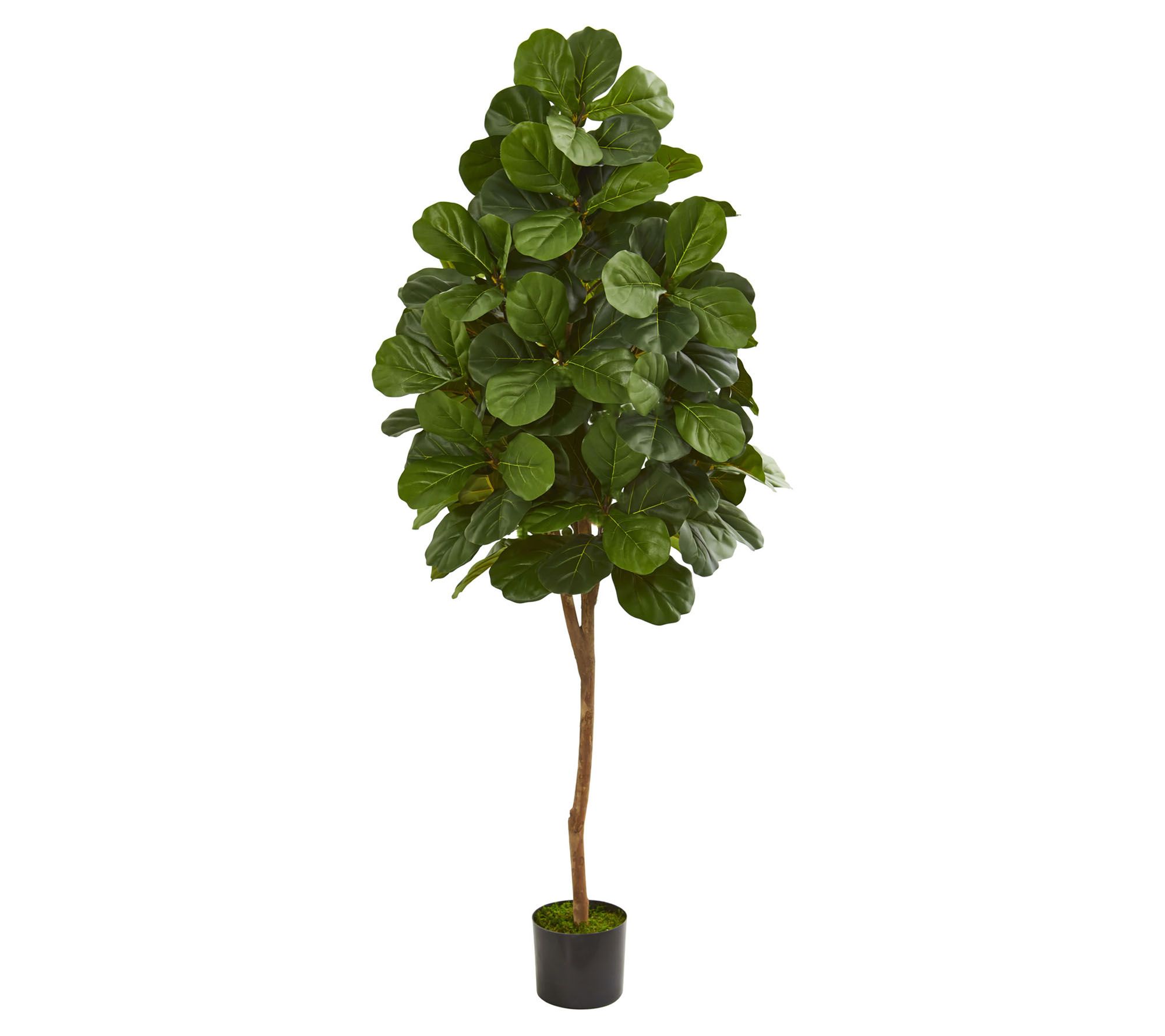 6' Fiddle Leaf Fig Artificial Tree by Nearly Na tural