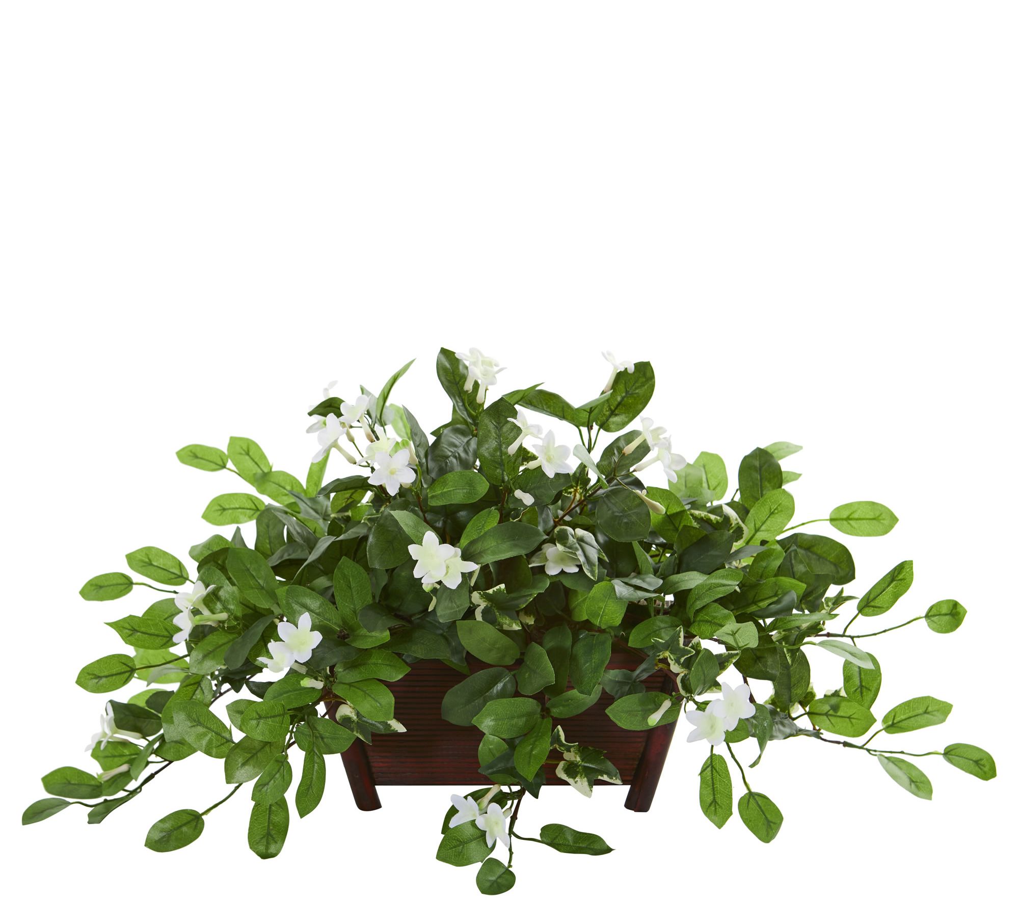 Mix Stephanotis Plant in Planter by Nearly Natural - QVC.com